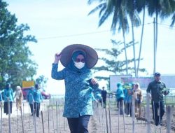 Gerkam Cabai Jadi Salah Satu Slogan Peringatan HKG PKK Bolmut Ke-52 Tahun