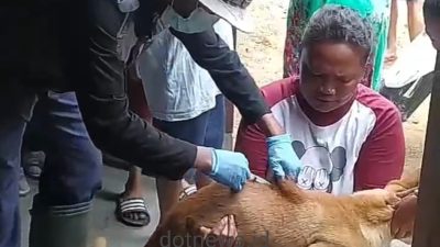 Waspada Rabies, Distan Bolmut Turun Gunung, Sasar Wilayah Kasus Tertinggi Gigitan Anjing