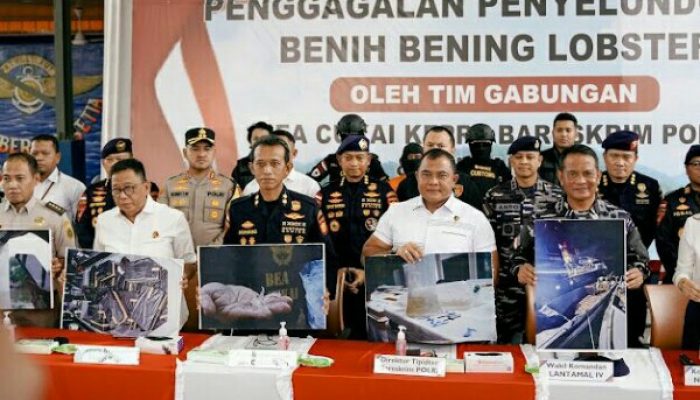 Polri Gagalkan Penyelundupan 151 Ribu Benih Lobster di Perairan Bintan