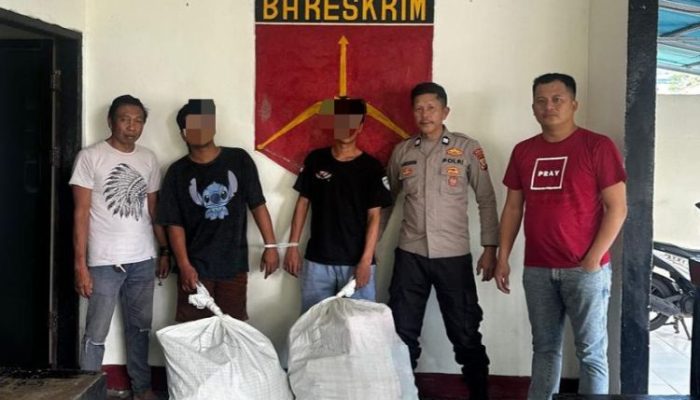 Rugikan PT CKL Sebanyak 100 Juta, Dua Lelaki Asal Minut di Bungkus Polsek Mapanget