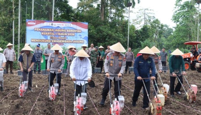 Polresta Manado Tanam Jagung Raya Kuartal I Tahun 2026 di Empat Lokasi, Dukung Ketahanan Pangan Nasional