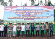 Dukung Ketahanan Pangan Nasional, Polda Sulut Tanam Jagung Raya Serentak Kuartal I Tahun 2026