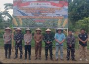 Dukung Swasembada Pangan, Pemkot Bitung–TNI–Polri Tanam Jagung Serentak Bersama Kapolri