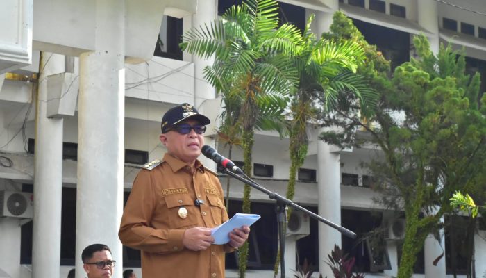 Peringkat I Indeks Profesionalitas ASN Regional Manado, Pemkab Gorontalo Kembali Ukir Prestasi