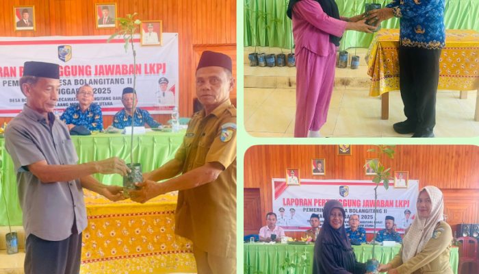 Untuk Ketahan Pangan, Pemdes Bolangitang II Salurkan 250 Bibit Alvokad