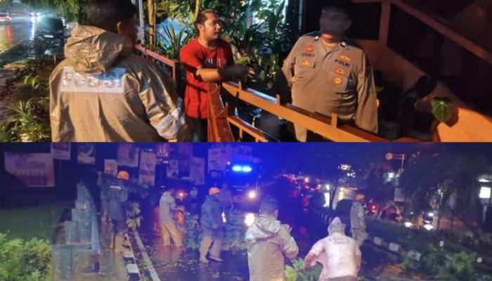 Kepedulian dan Kesigapan, Dua Polsek Bantu Warga Atasi Pohon Tumbang di Sejumlah Lokasi Manado