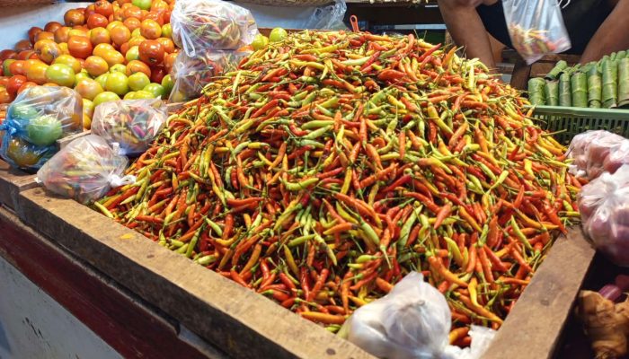Wawdaw ! Pasca Lebaran Kurban, Harga Rica di Bolmut Bajingan, Perkilo Dihargai 150 RIbu