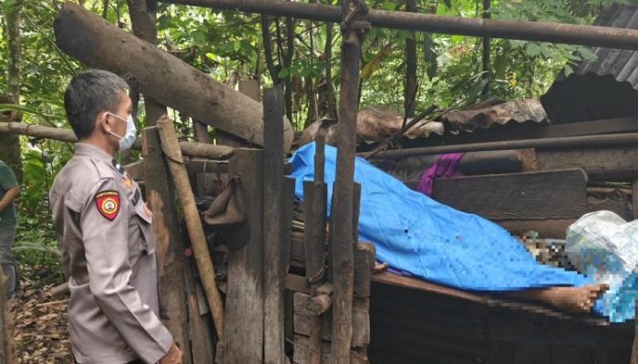 Penemuan Mayat di Gubuk Kebun Desa Kali Selatan, Tim Gabungan Polresta Manado Turun Amankan TKP