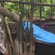 Penemuan Mayat di Gubuk Kebun Desa Kali Selatan, Tim Gabungan Polresta Manado Turun Amankan TKP