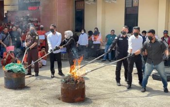 2,85 Miliar Barang Bukti Narkotika Dimusnakan Polda Sumsel