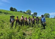 Panen Keenam Kacang Tanah Capai 1,8 Ton, Tilihuwa Mantapkan Diri sebagai Agrowisata