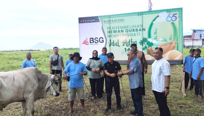 Bank SulutGo Salurkan 19 Ekor Sapi Kurban di Hari Raya Idul Adha 2026, Taburkan Semangat Berbagi