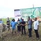 Bank SulutGo Salurkan 19 Ekor Sapi Kurban di Hari Raya Idul Adha 2026, Taburkan Semangat Berbagi