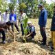 Program Hilirisasi Perkebunan, Sofyan Puhi Salurkan 8.388 Bibit Kelapa untuk Petani Mootilango