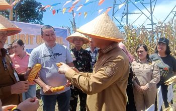 Dukung Program Asta Cita, Wali Kota Bitung Apresiasi Keberhasilan Panen Jagung Kelompok Tani Sehati