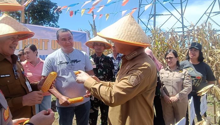 Dukung Program Asta Cita, Wali Kota Bitung Apresiasi Keberhasilan Panen Jagung Kelompok Tani Sehati