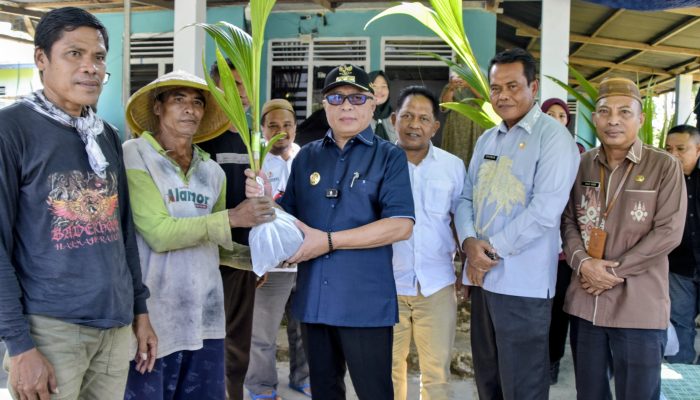 Sofyan Puhi Salurkan 2.300 Bibit Kelapa di Desa Pulubala, Perkuat Hilirisasi Perkebunan