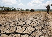 BMKG Prediksi Puncak Musim Kemarau di Sulawesi Utara Terjadi Juli-Agustus 2026, Warga Diminta Waspada
