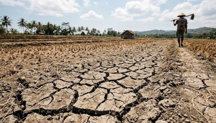 BMKG Prediksi Puncak Musim Kemarau di Sulawesi Utara Terjadi Juli-Agustus 2026, Warga Diminta Waspada
