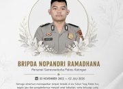 Kronologi Tewasnya Bripda Nopandri Ramadhana Saat Gerebek Bandar Narkoba di Katingan, Ditemukan Mengapung di Sungai