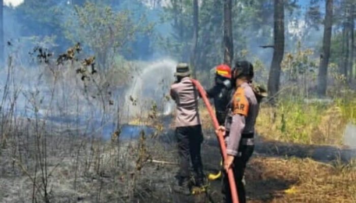 Lereng Gunung Soputan Terbakar, Brimob Polda Sulut Bersama TNI dan Instansi Gabungan Bergerak Padamkan Api