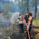 Lereng Gunung Soputan Terbakar, Brimob Polda Sulut Bersama TNI dan Instansi Gabungan Bergerak Padamkan Api