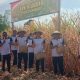 Polri Panen Jagung di Mapanget, Dukung Swasembada Pangan 2026