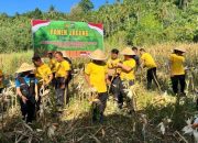 Panen Jagung di Wori, Kapolresta: Dukung Program Swasembada Pangan 2026