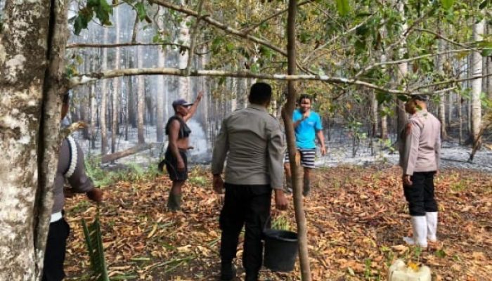 Polda Sulut Catat 370 Kejadian Karhutla, Ribuan Hektare Lahan Terdampak