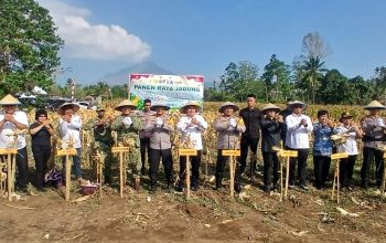 Kapolda Sulut Hadiri Panen Raya Jagung di Minahasa Utara, Sampaikan Apresiasi Atas Keberhasilan