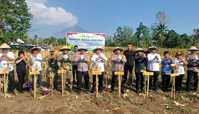 Kapolda Sulut Hadiri Panen Raya Jagung di Minahasa Utara, Sampaikan Apresiasi Atas Keberhasilan